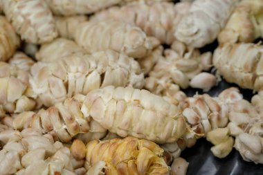 Mayalanmadan önce kabuklardan taze kakao çekirdekleri çıkarılmış..