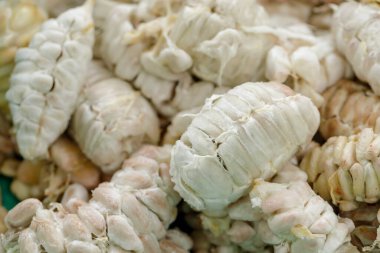 Mayalanmadan önce kabuklardan taze kakao çekirdekleri çıkarılmış..