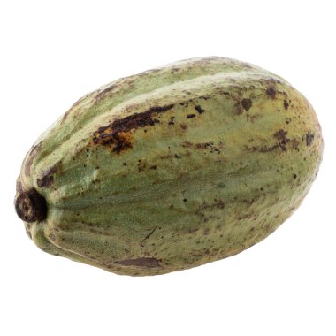 Beyaz bir arkaplanda izole edilmiş desenli dış kabuklu olgun kakao meyvesi kabuğu