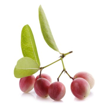 Karonda Meyvesi Yığını, Carissa Carandas L. Karanda; Carunda beyaz bir arka planda izole edilmiştir.