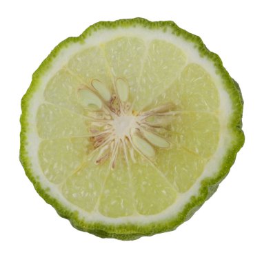 Taze yeşil kaffir kireç meyveleri beyaz arka planda izole edilmiştir.