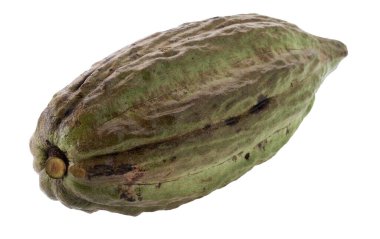 Beyaz bir arkaplanda izole edilmiş desenli dış kabuklu olgun kakao meyvesi kabuğu