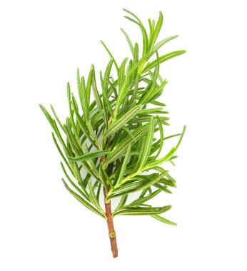 Beyaz arkaplanda izole edilmiş taze biberiye.