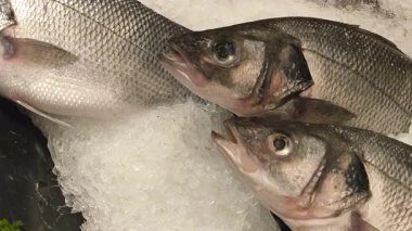 Deniz ürünleri pazarı için pullu ve yüzgeçli taze balık.