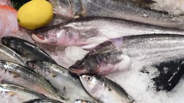 Deniz ürünleri pazarı için pullu ve yüzgeçli taze balık..