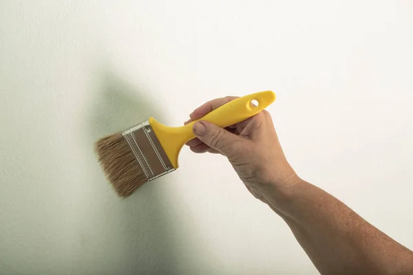 Woman\'s hand painting wall with a brush. Woman testing paintbrush with a yellow handle. Concept creative design house interior. Woman\'s hand brushing, painting white a wall. Close up female hand