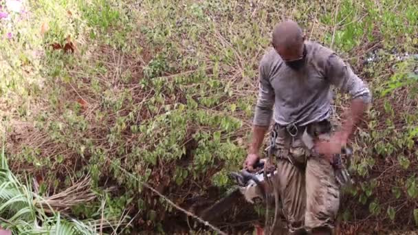 Чоловік Знімає Обладнання Скелелазіння Після Роботи Деревах Саду Використовуючи Спеціальне — стокове відео