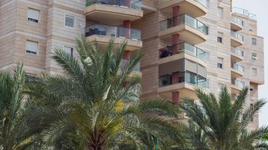 Balkonları ve geniş pencereleri olan, kısmen gür palmiye ağaçları tarafından gizlenmiş modern bir apartman dairesi. İsrail 'de palmiye ağaçları olan modern bir bina. Beton ev ile soyut mimari arkaplan