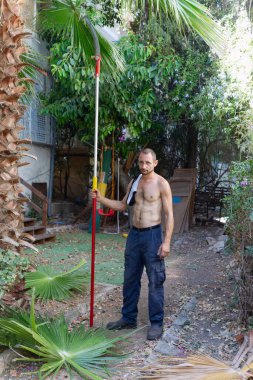 Uzun bir bahçe direği tutan üstsüz bir adam palmiye yapraklarını ve dalları budadı. İşçi teleskopik el testeresiyle dalları kesmeye hazırlanıyor. Bahçıvan arka bahçede uzun bir teleskopik direk testeresi kullanıyor.