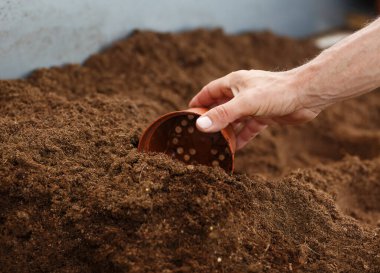  Bir el, boş kahverengi plastik bir saksıyı gevşek ve karanlık toprağa yerleştirir. Bu da ekime ya da bahçıvanlığa hazırlık olduğunu gösterir. Toprak zengin ve ekilmeye hazır görünüyor. Bahçıvanlık faaliyetlerini ön plana çıkarıyor.