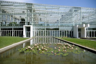 Bahçedeki güzel çiçekler