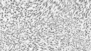 Modern Kurumsal Tasarım: Minimalist Simetri ve Fütürist Hassasiyet