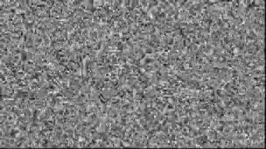 Yanardöner Biyometrik Rüya Çekirdeği: Üretken Sibernetik Spektrumda Geleceğin Görselleri