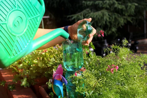 Пластиковые Бутылки Полива Цветов Балконе Качестве Системы Полива — стоковое фото
