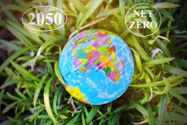 Net zero 2050 emissions icon concept in hand for the environment policy animation concept illustration with a globe in Green , renewable energy technology for a clean future environment.