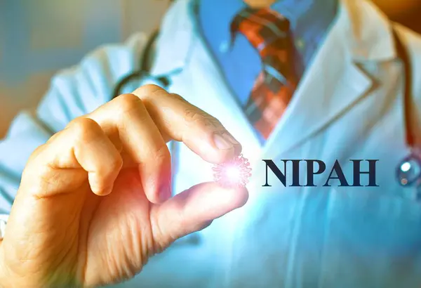 stock image Doctor holding Nipah virus, Symbol of illness, health, medicine