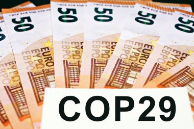 Birleşmiş Milletler İklim Değişikliği Konferansı metni 