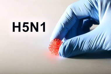 H5N1 (Kuş Gribi Virüsü) testi, kuş gribi virüsü (AIV), kuş gribi veya kuş gribi testi.