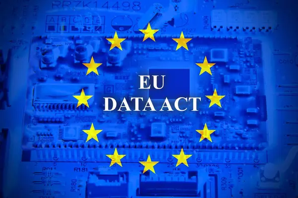 Avrupa bayrağı taşıyan çip 