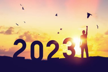 İnsanlar günbatımı gökyüzünde dağın tepesinde uçan kuşlar ve 2023 numaralı soyut arkaplan ile el kaldırır. Mutlu yıllar ve tatil konsepti. Klasik ton filtre efekti renk biçimi.