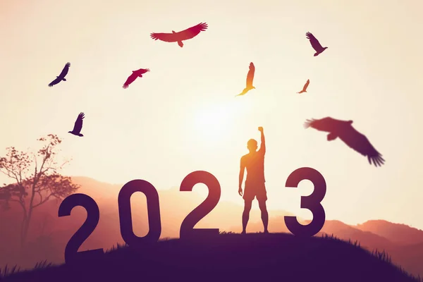Man raise hand up on sunset sky with birds flying at top of mountain and number 2023 abstract background. Happy new year and holiday concept. Vintage tone filter effect color style.