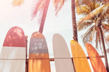 Sahilde mavi gökyüzü olan sörf tahtası ve palmiye ağacı. Seyahat macera sporu ve yaz tatili konsepti. Klasik ton filtre efekti renk biçimi.