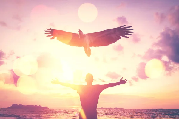 Чоловік Піднімає Руку Вершині Гори Захід Сонця Небо Орлиними Птахами Ліцензійні Стокові Фото