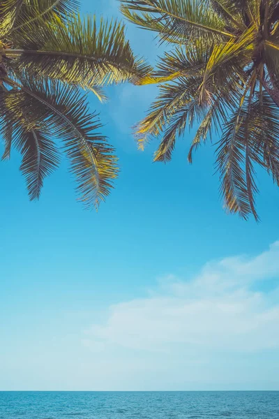 热带棕榈树 蓝天蓝云抽象背景 暑假和自然探险的概念 滤纸色调滤色效果风格 — 图库照片