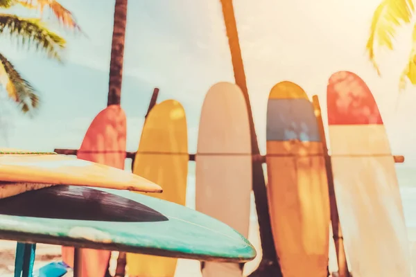 Surfboard Και Φοίνικα Μπλε Ουρανό Φόντο Παραλία Ταξιδιωτικός Αθλητισμός Περιπέτειας — Φωτογραφία Αρχείου