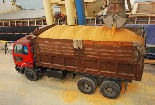 Loading grain into a truck body at harbor terminal