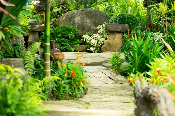 Kamenný Chodník Zahradě — Stock fotografie