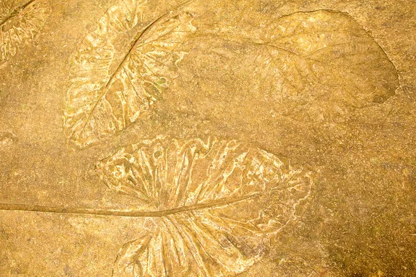 Imprint Leaf Cement Floor Background Ground Texture Background — Stock Photo, Image