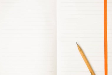 Çalışma alanı defterindeki kahverengi kalem. Üst görünüm, düz görünüm kavramı.