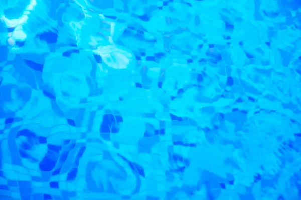 물웅덩이의 — 스톡 사진