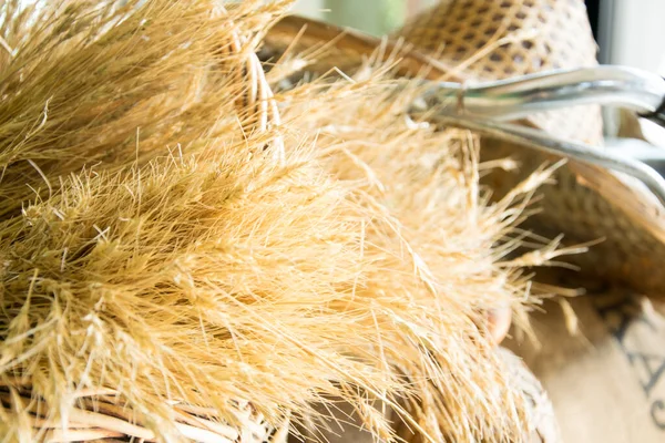 Cereali Orzo Cappello Paglia — Foto Stock