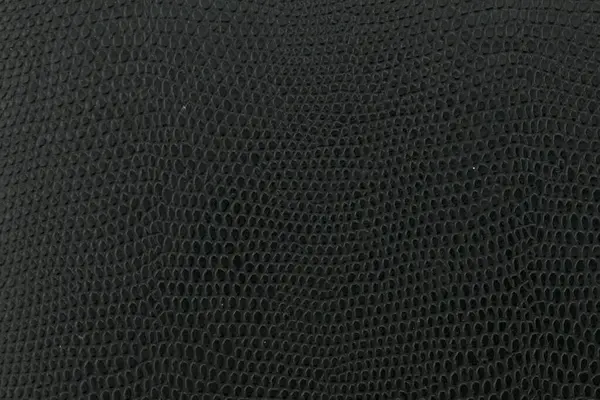 Schwarze Schlange Leder Hintergrund Textur — Stockfoto