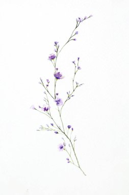 Beyaz arkaplanda izole edilmiş buket çiçeklerinin suluboyası