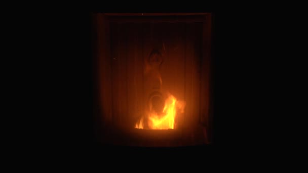 経済的で再生可能なバイオマスとペレット ストーブ暖房住宅の炎を燃やす — ストック動画