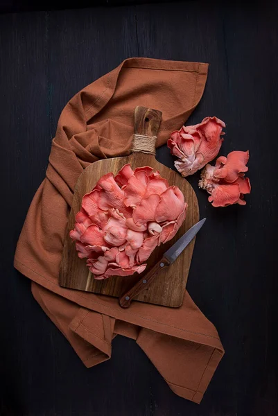 Růžové Ústřice Houby Parta Zblízka Syrové Bez Lidí — Stock fotografie