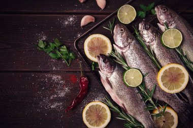 Raw rainbow trout, with lemon and herbs, on a wooden table, no people,