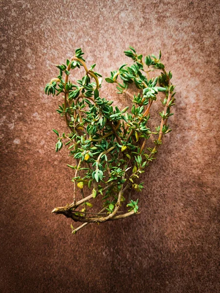 Thyme Branch Beige Brown Background Top View Rustic Mobile Photo — Stock Photo, Image