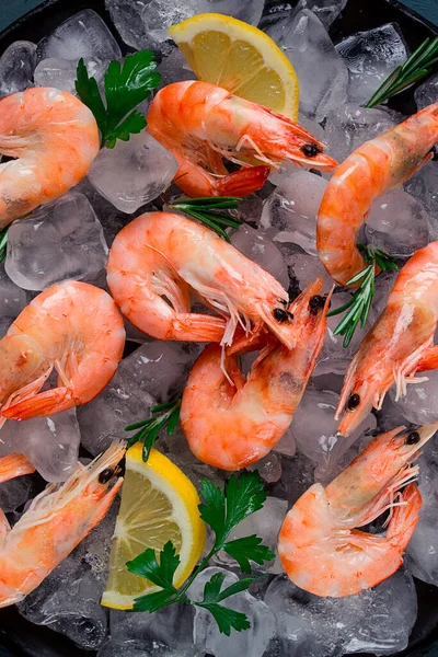 King Shrimps Undivided Boiled Frozen Ice Top View Selective Focus — ストック写真