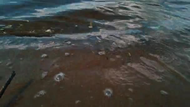 ヴォルガ川 クローズアップ サーフィン 生態学の概念 モバイルビデオ — ストック動画