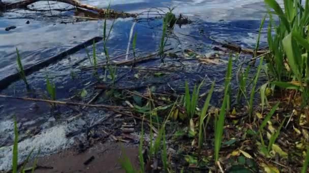 Rio Volga Aterro Close Surf Conceito Ecologia Vídeo Móvel — Vídeo de Stock
