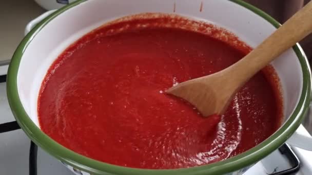 Produkcja Sosu Pomidorowego Satsebeli Gruzińska Tradycyjna Kuchnia Mobilne Wideo Domowej — Wideo stockowe