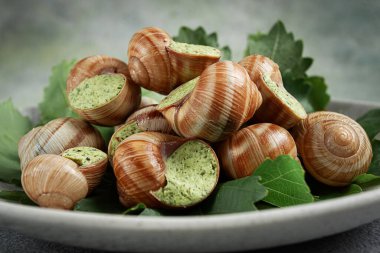 Üzüm salyangozu, şarap, Fransız mutfağı.,