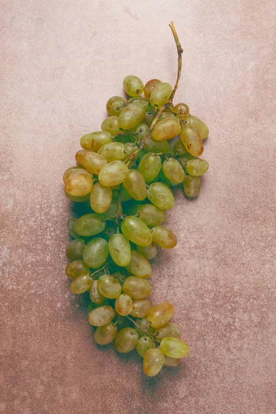 a branch of white grapes, wine grapes, Georgian grape variety Rkatsiteli, top view,