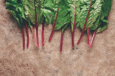 Taze, yeşil yapraklar, pancar yapraklı gövde, masada, üst görünümde, köylü, insan yok.,