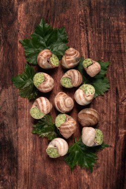 Burgundy 'ye doldurulmuş salyangozlar. Üzüm yaprakları, Fransız mutfağı, insan yok.,