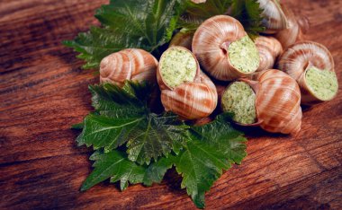 Burgundy 'ye doldurulmuş salyangozlar. Üzüm yaprakları, Fransız mutfağı, insan yok.,